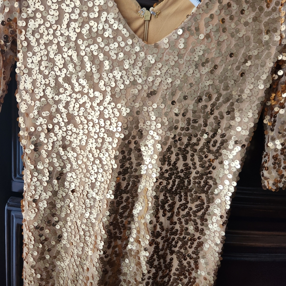 Rosio Rosio Shimmering Gold Sequin Top